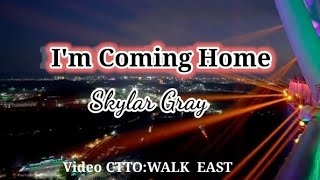 Im Coming Home Karaoke VersionSkylar Gray [upl. by Enahsed]