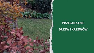 Jesienne prace w ogrodzie przesadzanie krzewów ozdobnych [upl. by Iramo870]