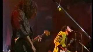 Baby Animals  Early Warning  Live 1991 [upl. by Leanahtan655]