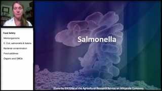 152 Food Safety Ecoli Salmonella amp Listeria [upl. by Lanod885]