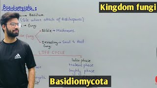 Basidiomycota Fung Life Cycle  Characteristics  Class 11 Biology [upl. by Bolling]