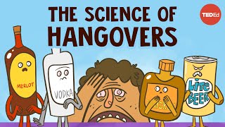 How does alcohol cause hangovers  Judy Grisel [upl. by Eedak]