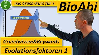 Evolution 1 Evolutionsfaktoren  Grundwissen  Übersicht  Training Wortschatz Keywords BioAbi [upl. by Leamhsi]