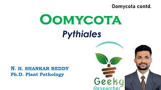 Lec 20 Oomycota  Pythiales  Mycology  Plant Pathology  BScMSc Agriculture [upl. by Kirtap535]