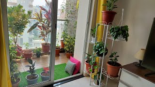 Beginners guide indoor gardening Tamil [upl. by Thay]