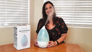 How To Use A Humidifier In A Room Bedroom and for Plants [upl. by Nepets]