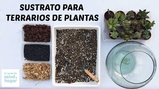 Terrario DIY de suculentas  Tierra para terrarios  Sustrato Casero para suculentas [upl. by Azpurua]