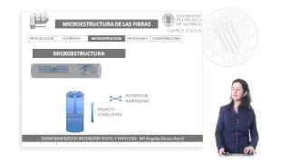 Microestructura de las Fibras Textiles  211  UPV [upl. by Iemaj977]