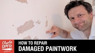 How to Repair Damaged Paintwork [upl. by Egnalos842]