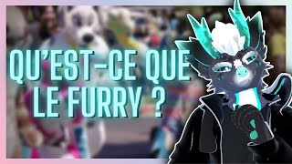 QUESTCE QUE LA COMMU FURRY [upl. by Assilrac8]