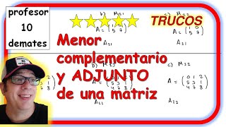 🔢 Menor complementario y ADJUNTO de una matriz [upl. by Eirac]