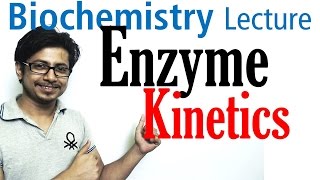 Enzyme kinetics vmax and km [upl. by Riek539]