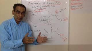 Amphiprotic vs Amphoteric IB Chemistry [upl. by Dacy]