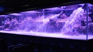 800 Aquarium pt2 Aquascape  Floating Shelf [upl. by Devina]