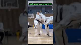 Taekwondo vs capoeira riverse kick reverskick [upl. by Eolcin]