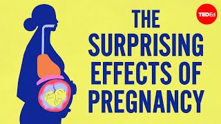 The surprising effects of pregnancy [upl. by Kelcie970]