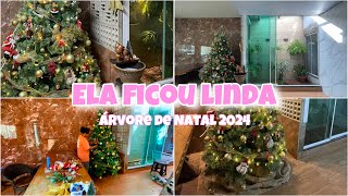 🎄MONTANDO ÁRVORE DE NATAL 2024DECORAÇÃO DE NATALÁRVORE DE NATAL GRANDESALA DECORADA PARA O NATAL [upl. by Ailuig553]