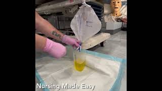 Nursing Skills Emptying The Urinary Drainage Bag [upl. by Kauffman435]