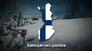 Finnish Folk  Säkkijärven Polkka  Slowed  Reverb [upl. by Sidoma]