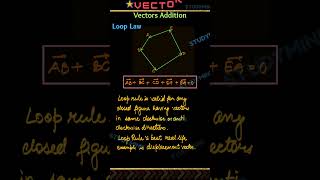 Vectors  Basics [upl. by Lluj]