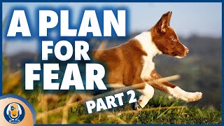 A Plan For Your Fearful Dog Part 2 Susan Garrett’s Strategic Plan For Anxious Dogs 237 [upl. by Aicinod]