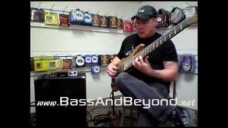 Bergantino NV115 Bass Guitar Cabinet Review BassAndBeyondnet [upl. by Archle754]