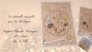 Tirage avec la planche Divinatoire des Breloques  Cartes  Pendule [upl. by Irabaj]