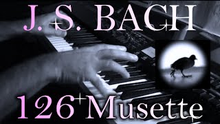 Johann Sebastian BACH Musette in D major BWV Anh 126 [upl. by Dumanian]