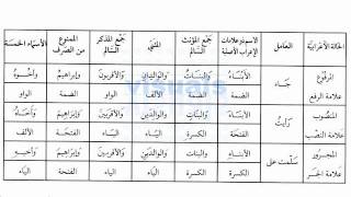 Madinah Arabic Book 33 Lesson 117 [upl. by Adiam]