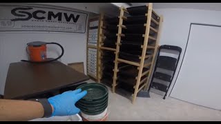 SCMW Mealworm Farm Tour and Weekly Maintenance Routine [upl. by Ranee]