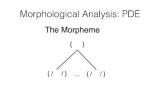 Morphology Part1 [upl. by Rochette224]