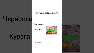 Лягай спать драконтовстий полтавськийпалій лягайспать хмільнеміцнепродакш мемиукраїнською [upl. by Condon]