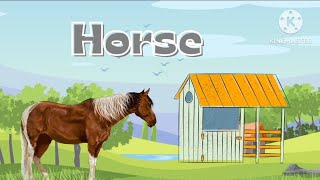 DOMESTIC ANIMALS NAME IN ENGLISHANIMALS VIDEO FOR KIDSFARM ANIMALS LEARNING VIDEO [upl. by Adnorat]