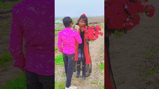 Kati Raat Maine Kheton Mein Tu Aayi Nahi 2024 Song shorts vairal trending love [upl. by Adal264]