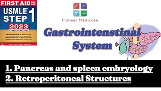 Pancrease spleen embryology retroperitoneal from first aid step 1part 1USMLEUrduHindi [upl. by Heber]