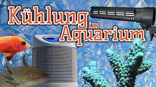 Kühlsysteme für Süß und MeerwasserAquarien  Aquarientechnik [upl. by Novart866]