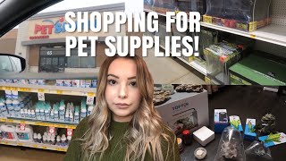 Shopping For Pet Supplies  Haul  Pet Store Vlog [upl. by Aelahc327]