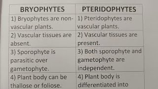 Difference Between Bryophytes And PteridophytesClass Series [upl. by Eelaras253]