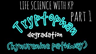 TRYPTOPHANkynurenine pathway Degradation Vlog 12 [upl. by Wernda638]