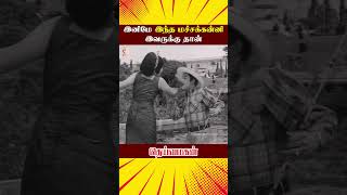 இனிமே இந்த மச்ச கன்னி இவருக்கு தான்  Deiva Magan Tamil Movie Scenes  Sivaji  ytshorts [upl. by Melena]