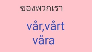 คำว่า vår vårt våra ใช้ต่างกันอย่างไร [upl. by Andonis]