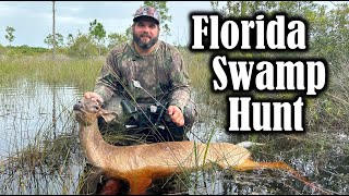 MY BEST FOOTAGE YET Swamp Donkeys in South Florida [upl. by Ainitsirhc]