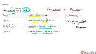 Aerenchyma provides [upl. by Gurevich]