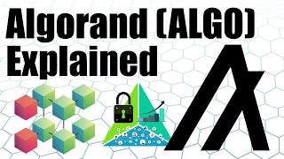 Algorand ALGO Explained  Everything You Need To Know About Algorand ALGO [upl. by Nilreb]