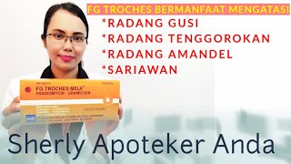 Obat Radang Gusi Radang Tenggorokan Radang Amandel Dan Sariawan  FG TROCHES MEIJI [upl. by Ardet]