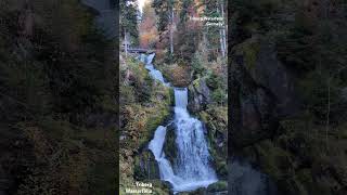 Triberg Waterfalls GermanyTriberg Wasserfälle Deutschland waterfall germany triberg [upl. by Aloisia]