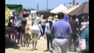 ANTELOPE VALLEY SWAP MEET Four Points Palmdale CA [upl. by Einahpetse]