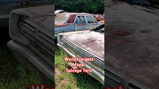 Thursday Grind at the Salvage Yard salvage dodge oldschool musclecar plymouth chrysler [upl. by Ramal296]