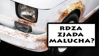 Jak wygląda Maluch rok po remoncie RELACJA  Duży w Maluchu EXTRA [upl. by Susann]