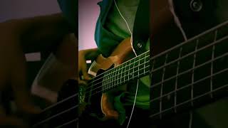 King GnuSlumberland bass cover [upl. by Lrac]